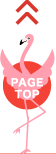 PAGE TOP